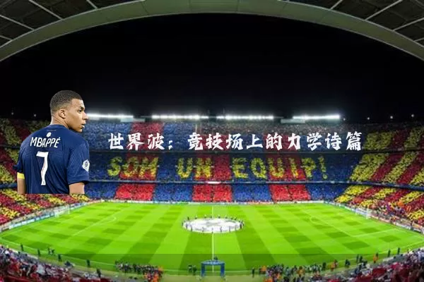 世界波:竞技场上的力学诗篇
